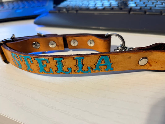 Martingale Dog Collar