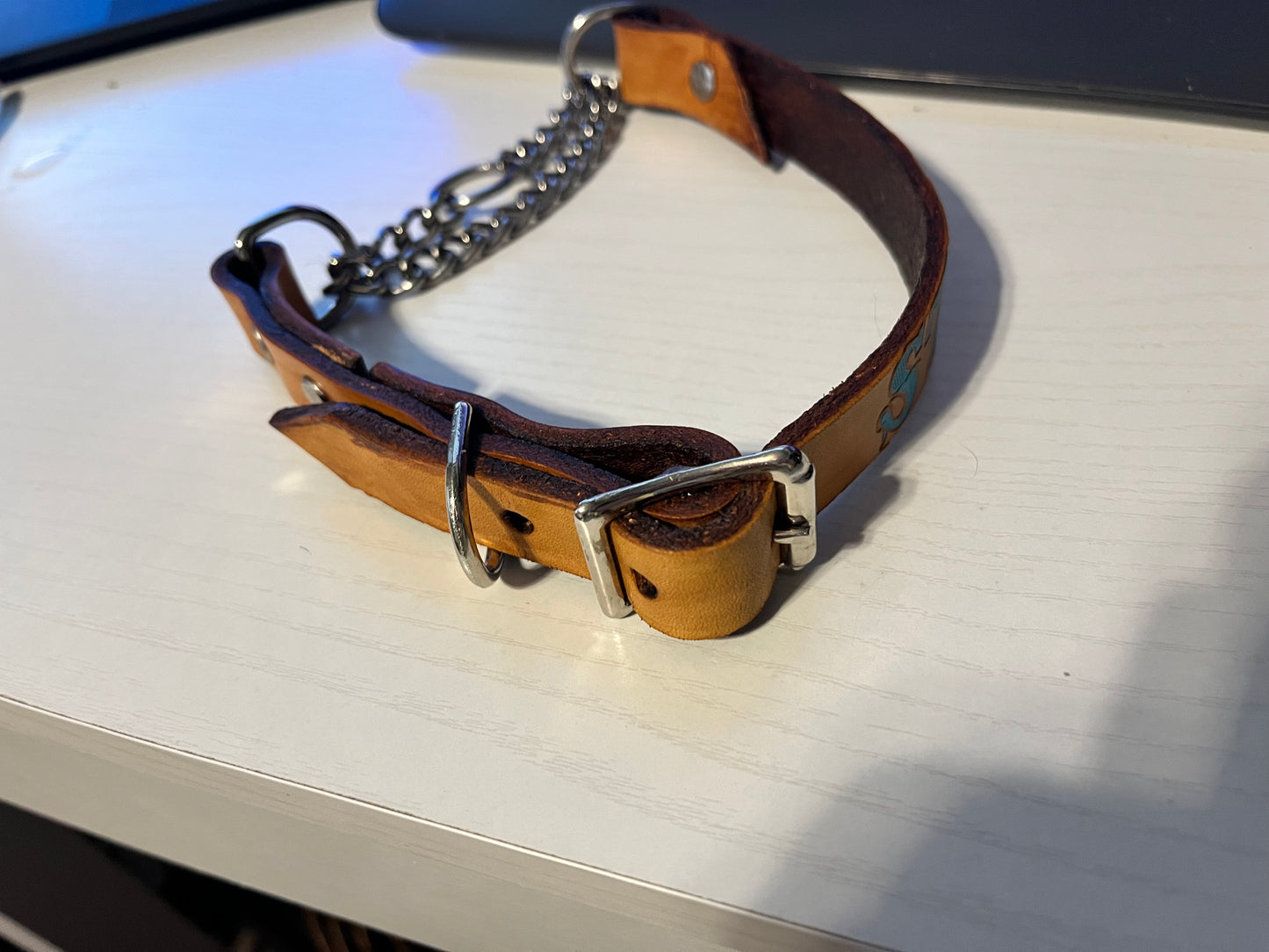 Martingale Dog Collar